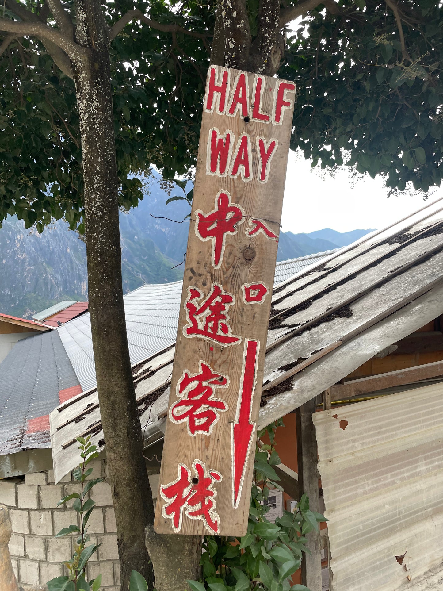 Tiger Leaping Gorge Trekking in the Canyon